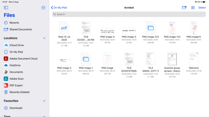 Screenshot of Files App in iPadOS 14