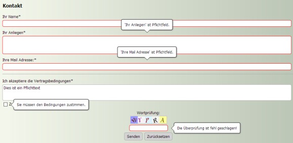 Formular mit Website X5 erstellt