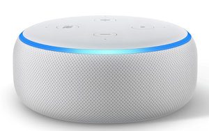Echo Dot Sandstone