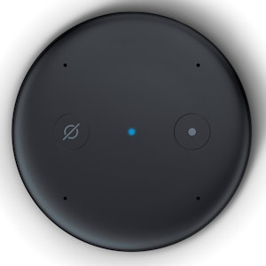 Echo Input