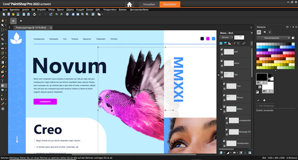 PaintShop Pro 2022 - Frame-Tool
