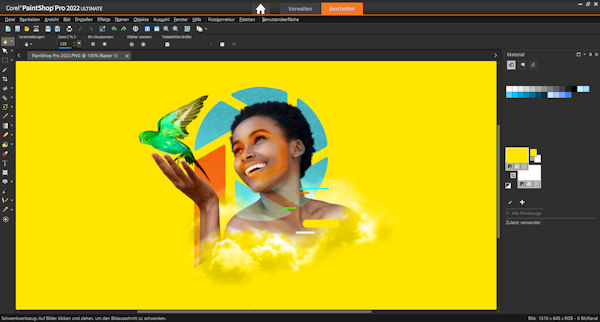 PaintShop Pro 2022 Ultimate